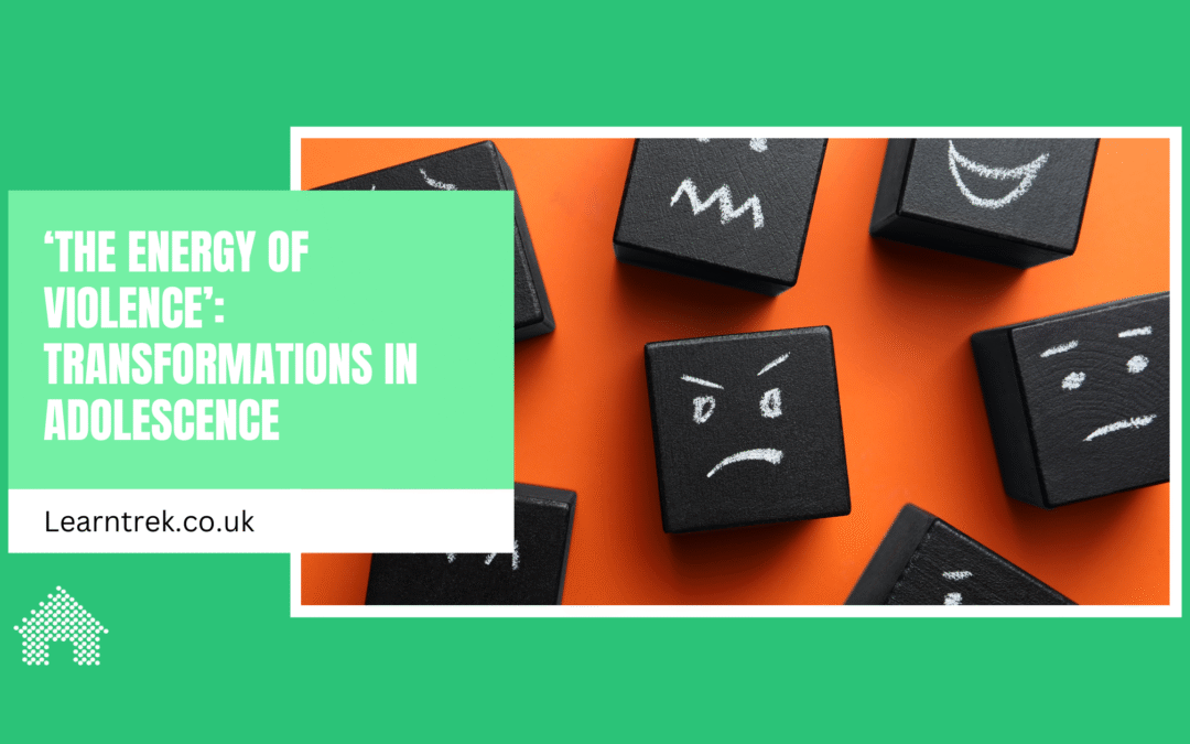 ‘The energy of violence’: Transformations in Adolescence